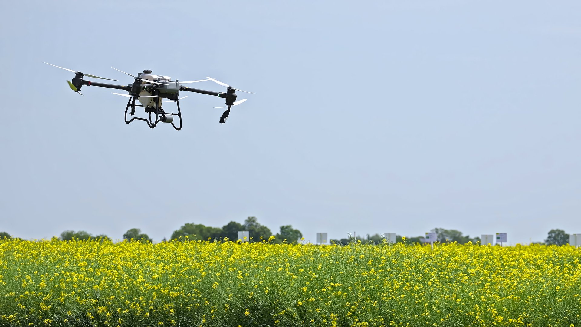 Agricultural drone flying over yellow flower field