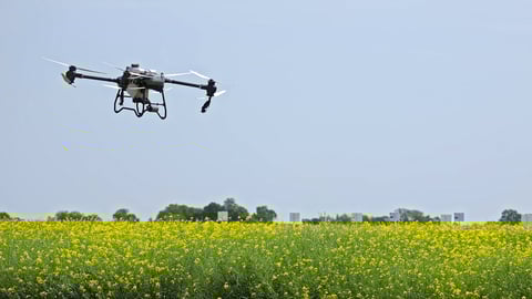 Agricultural drone flying over yellow flower field